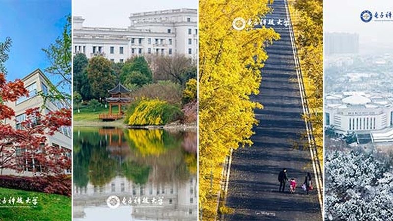上海电视机维修：揭秘收费标准背后的逻辑