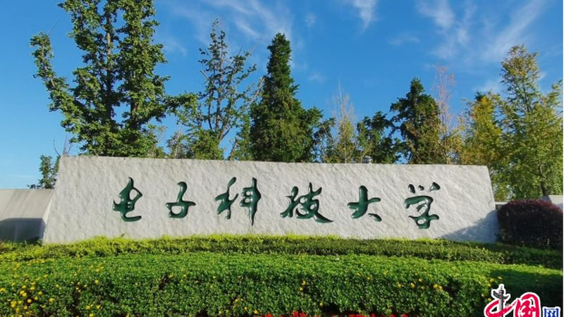 电子元器件分类解析：揭秘价格背后的秘密**